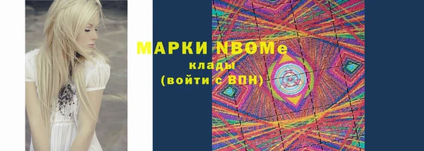прущие грибы Абинск