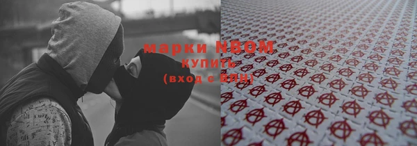 прущие грибы Алексин
