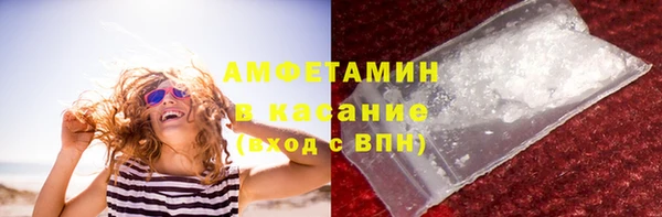 прущие грибы Абинск
