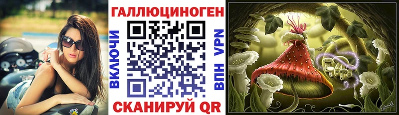 Псилоцибиновые грибы Psilocybe Сатка